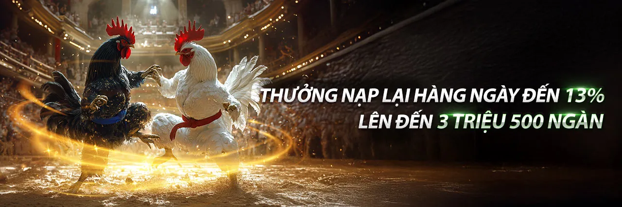 Đá gà trực tuyến 18win với các chiến kê dũng mãnh